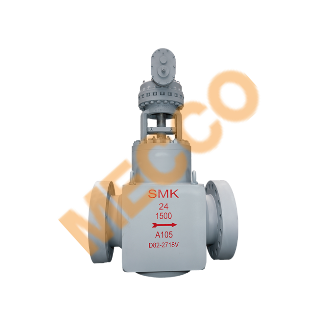 Forged Large-Diameter GGC Valves