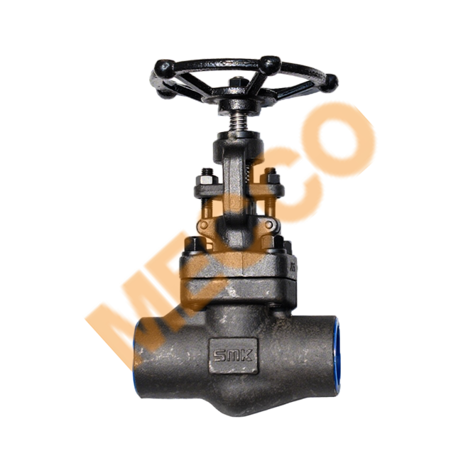 Forged Steel Globe Valve