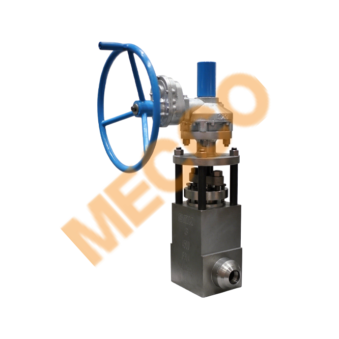 Forged Large-Diameter GGC Valves