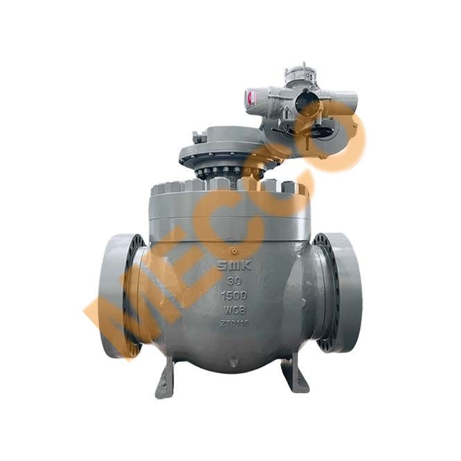 Electric Actuated Valve
