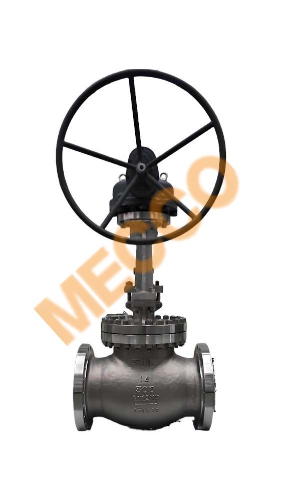 Cast Steel Globe Valve