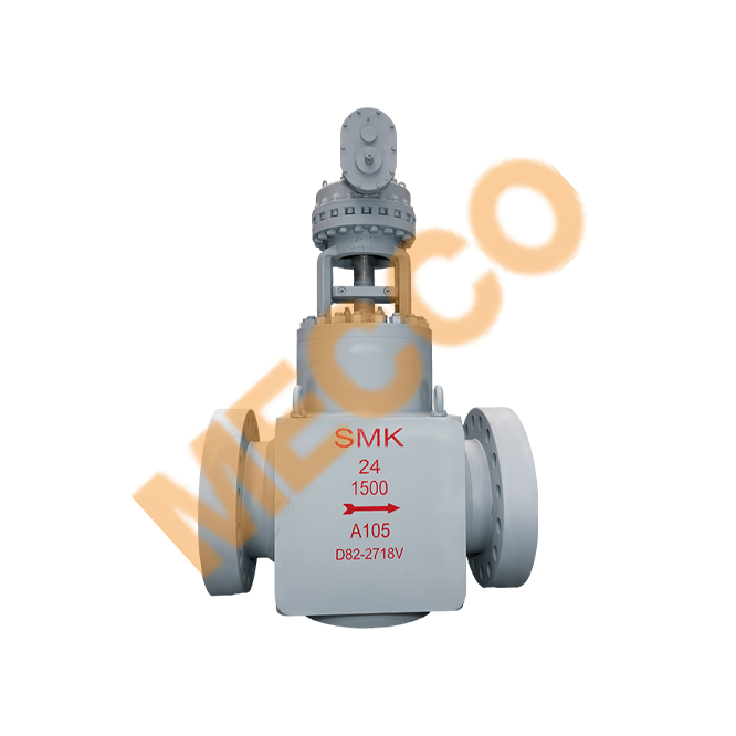 Forged Large-Diameter GGC Valves