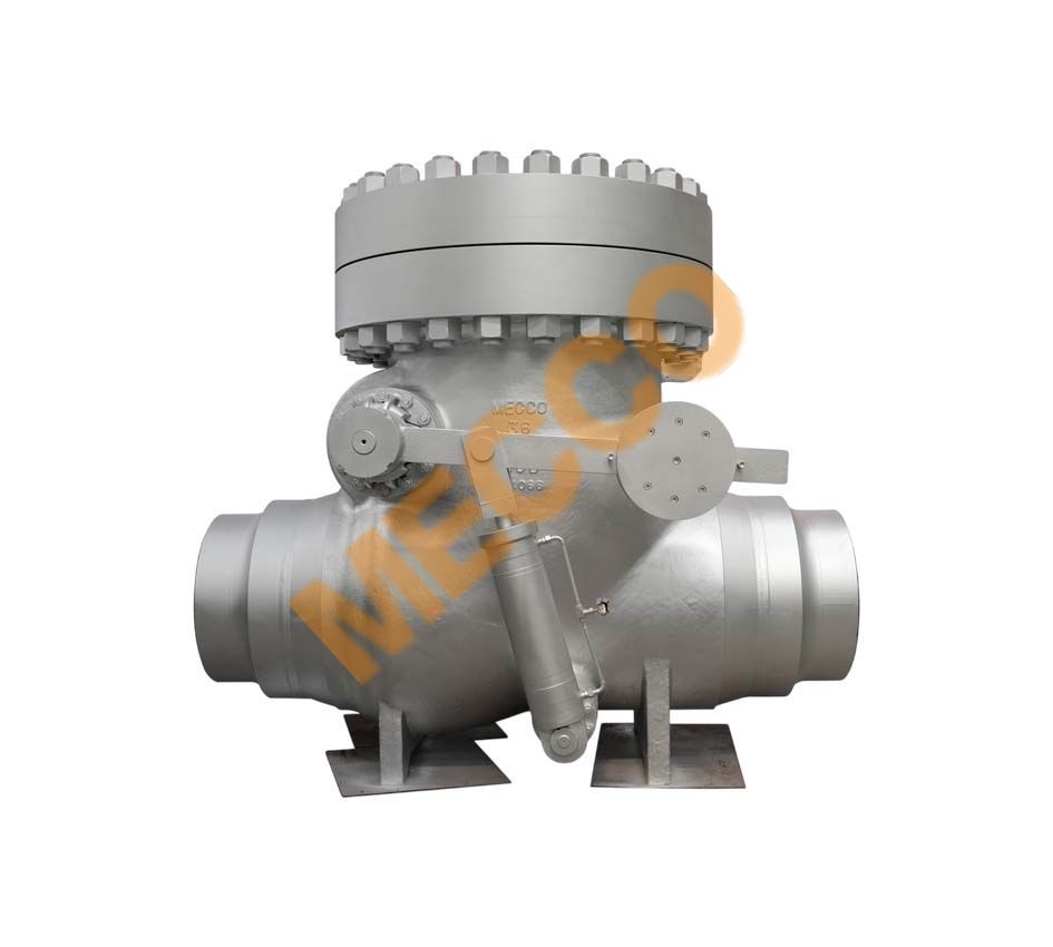 Cast Steel Check Valve