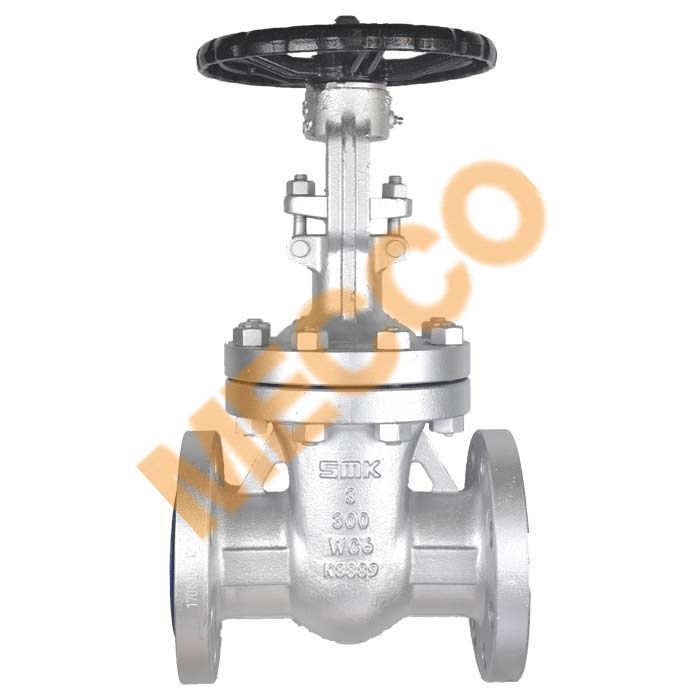 Cast Steel Gate Valve