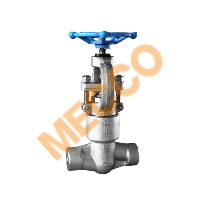 Forged Steel Globe Valve