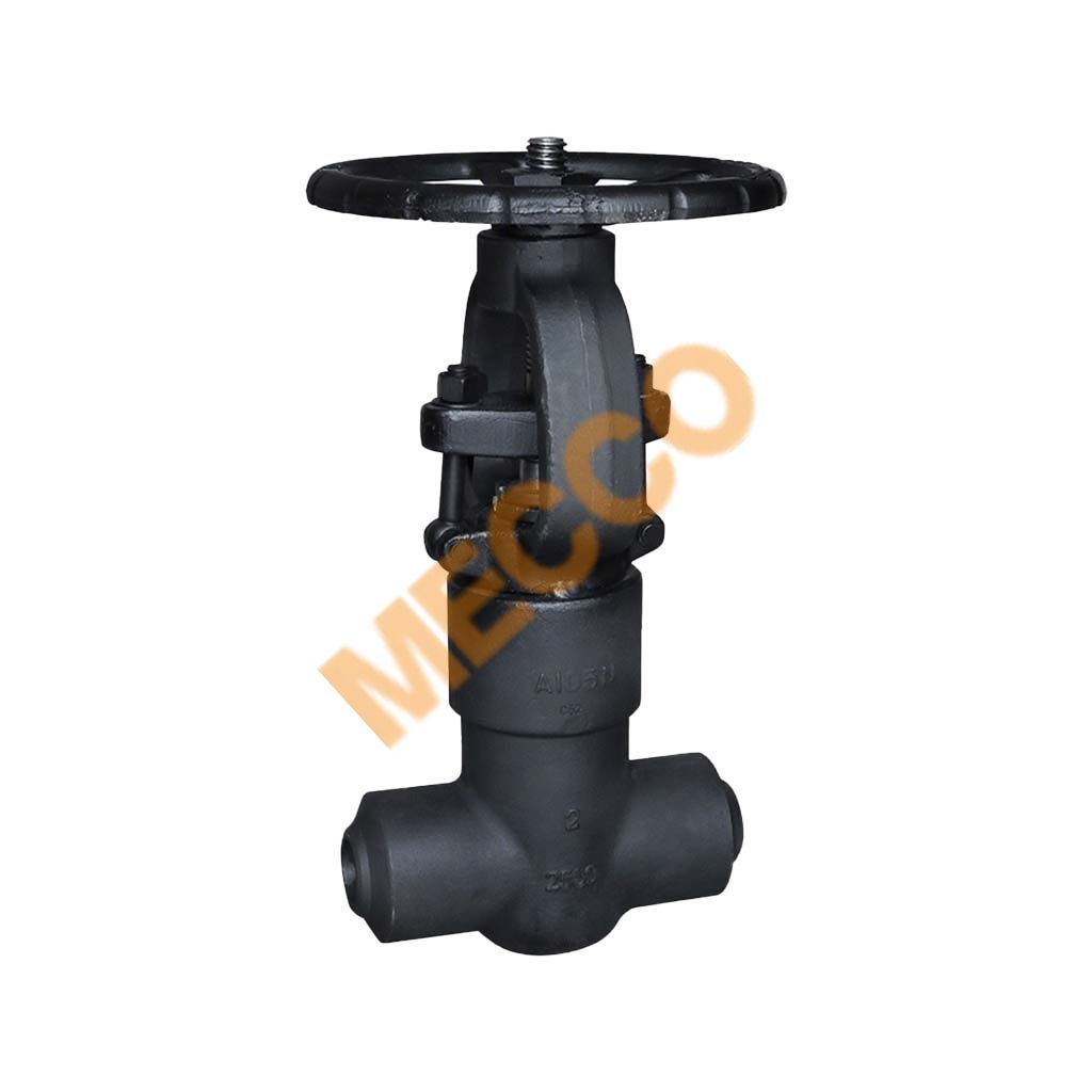 Forged Steel Gate Valve