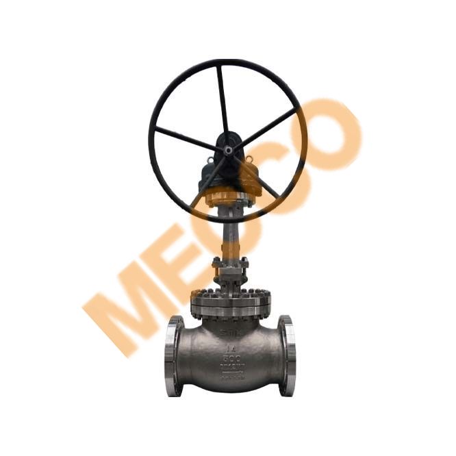 Special Alloy Valve
