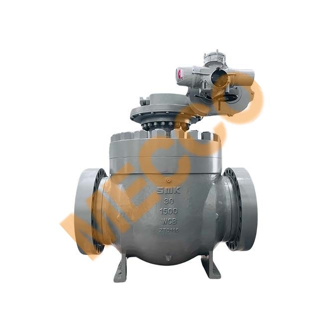 Top-Entry Ball Valve