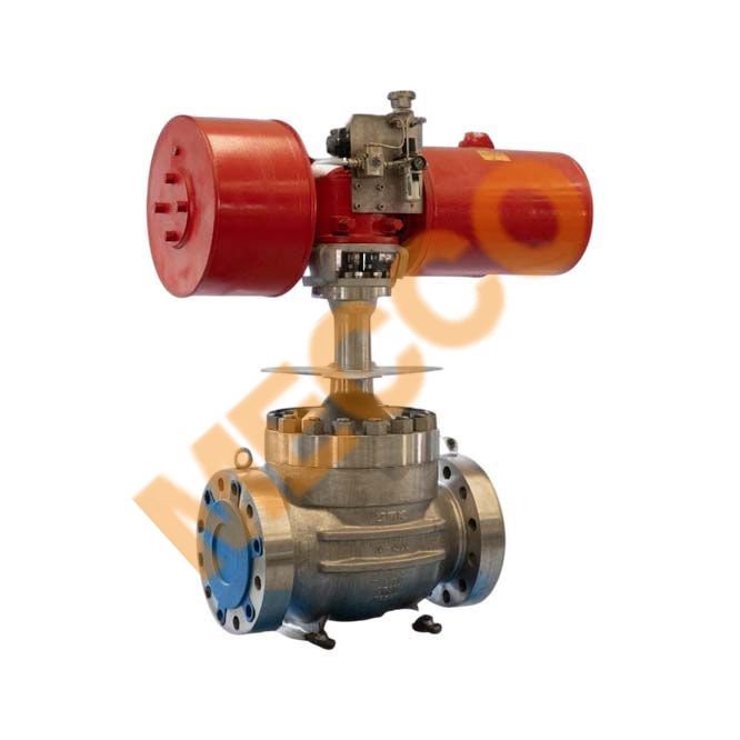 Pneumatic Actuated Valve