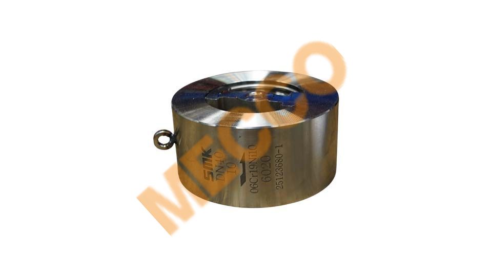 Cast Steel Check Valve