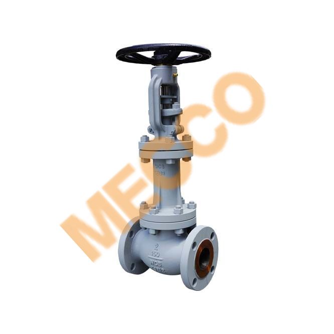 Bellows Seal Valve