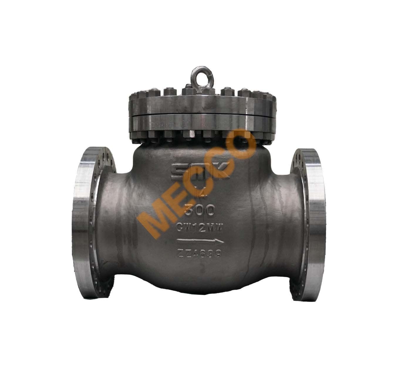 Cast Steel Check Valve