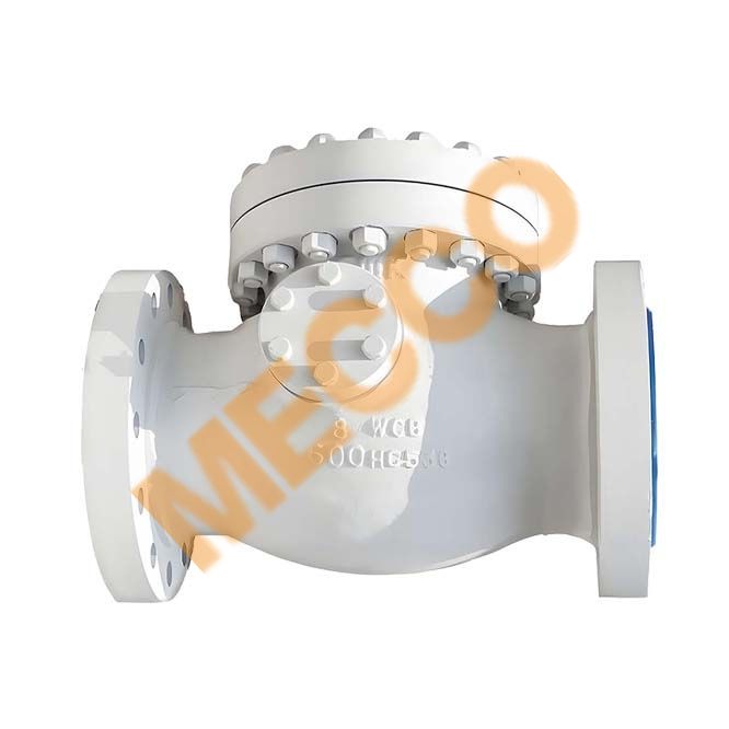 Cast Steel Check Valve