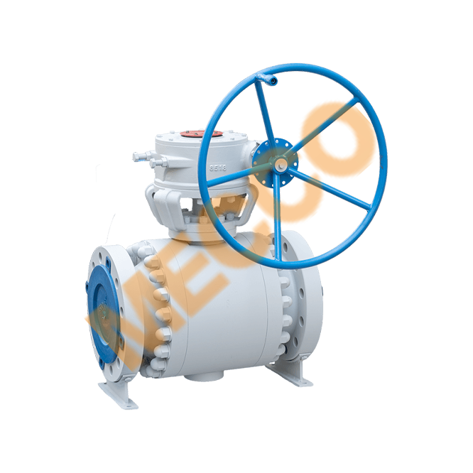 Trunnion Mounted Ball Valve