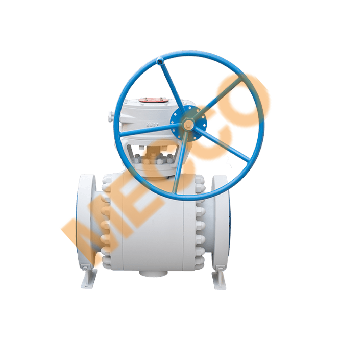 Trunnion Mounted Ball Valve