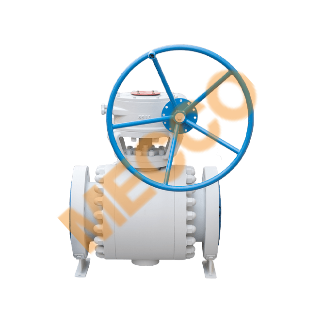 Trunnion Mounted Ball Valve