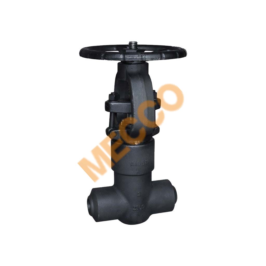 Forged Steel Gate Valve