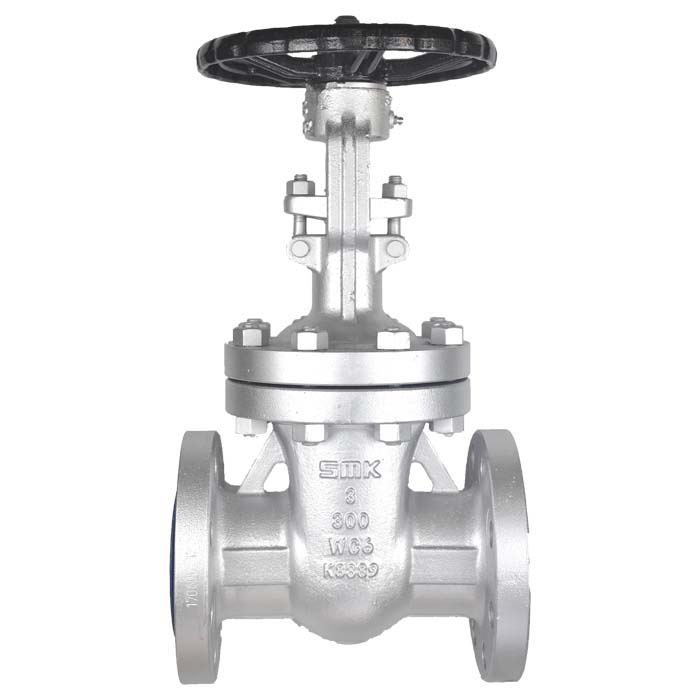 What Are Cast Steel Gate Valves and Their Applications